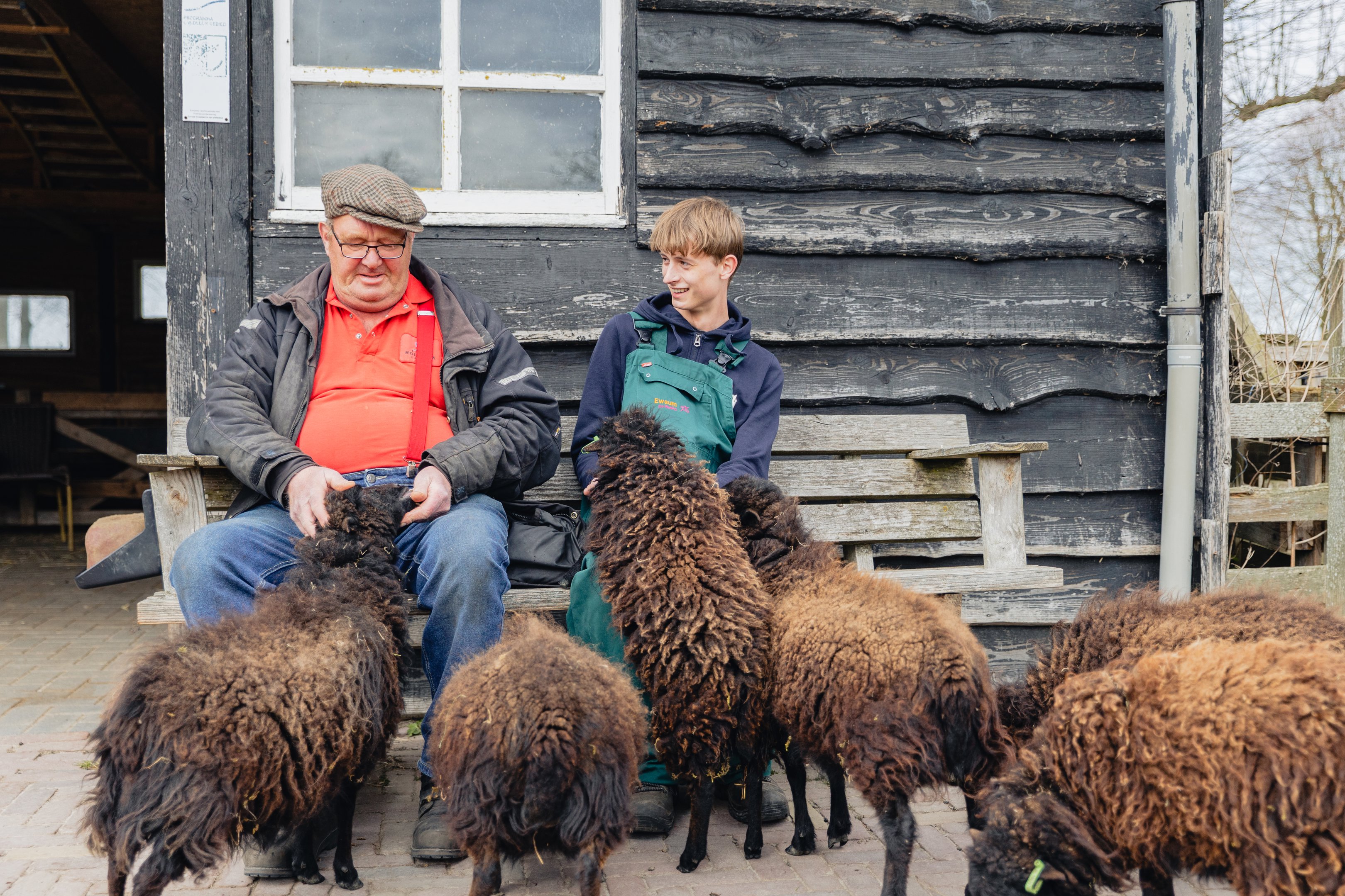 Twee personen verzorgen schapen tijdens een stagedag bij WerkPro Op Ewsum