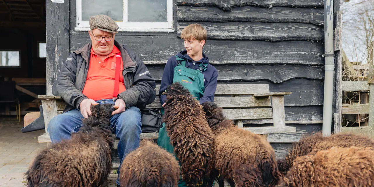 Twee personen verzorgen schapen tijdens een stagedag bij WerkPro Op Ewsum