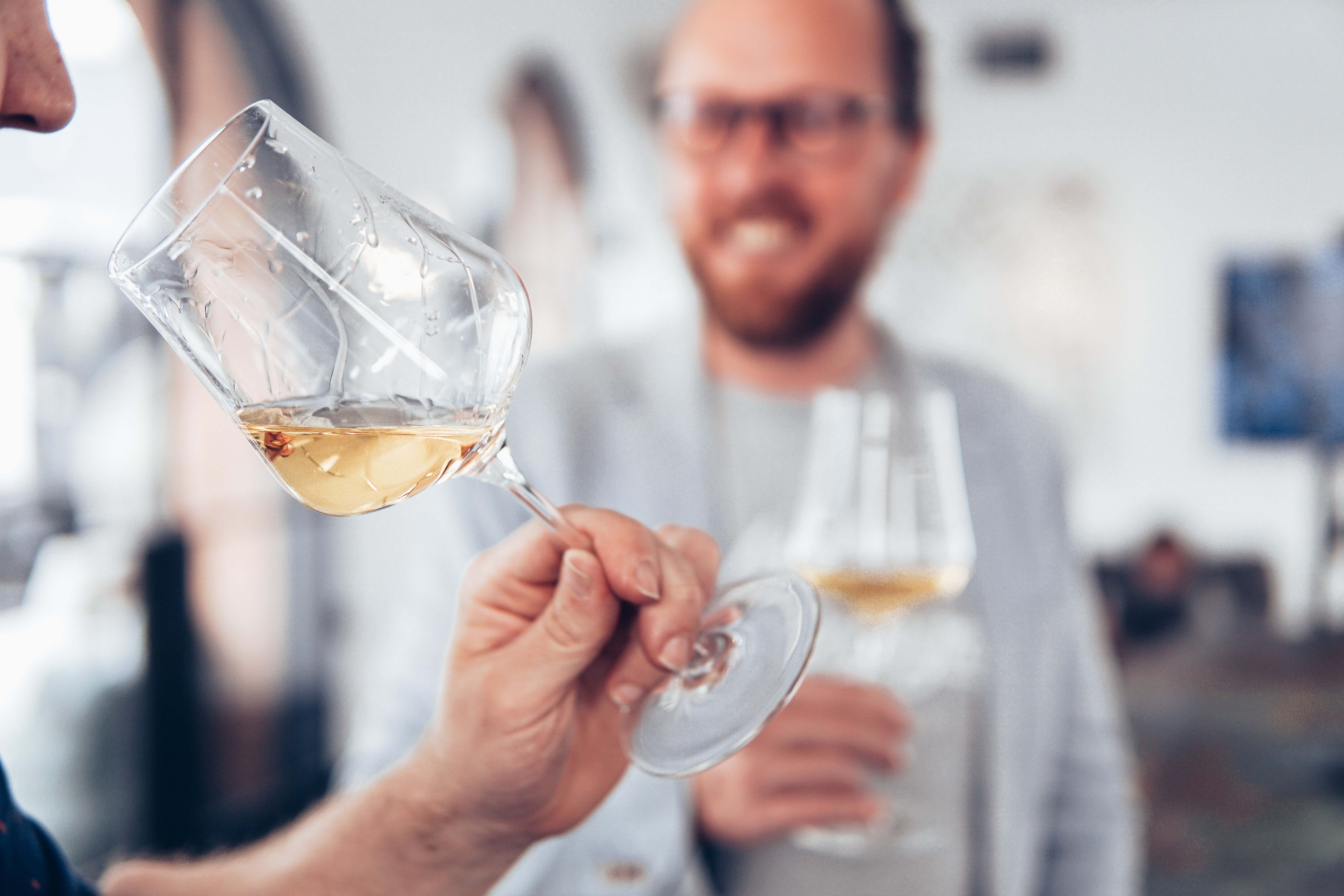 Twee mannen proeven een witte wijn Cursus Wijnbrevet (SDEN3) Groningen